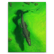 Load image into Gallery viewer, Swamps And Caimans