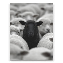 Load image into Gallery viewer, Black Sheep