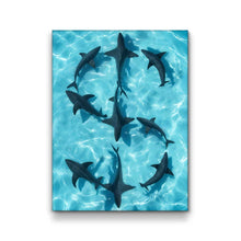 Load image into Gallery viewer, Sharks Dollar