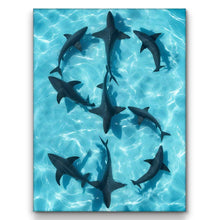 Load image into Gallery viewer, Sharks Dollar