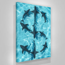 Load image into Gallery viewer, Sharks Dollar