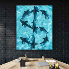 Load image into Gallery viewer, Sharks Dollar