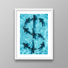 Load image into Gallery viewer, Sharks Dollar