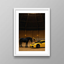 Load image into Gallery viewer, Do Not Feed