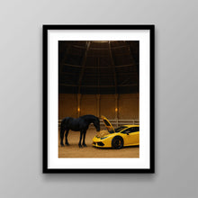 Load image into Gallery viewer, Do Not Feed