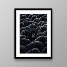 Load image into Gallery viewer, The Outcast