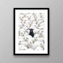 Load image into Gallery viewer, Black Sheep
