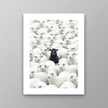 Load image into Gallery viewer, Black Sheep