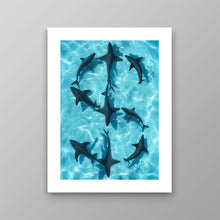Load image into Gallery viewer, Sharks Dollar