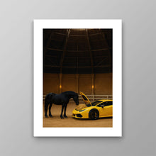 Load image into Gallery viewer, Do Not Feed