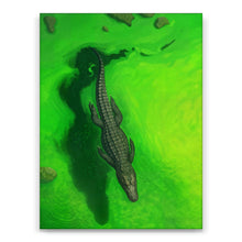 Load image into Gallery viewer, Swamps And Caimans
