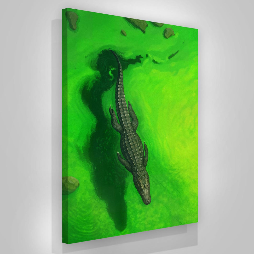Swamps And Caimans