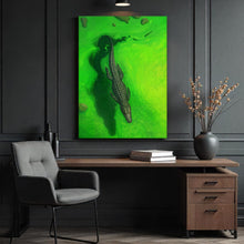 Load image into Gallery viewer, Swamps And Caimans
