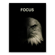 Load image into Gallery viewer, Focus
