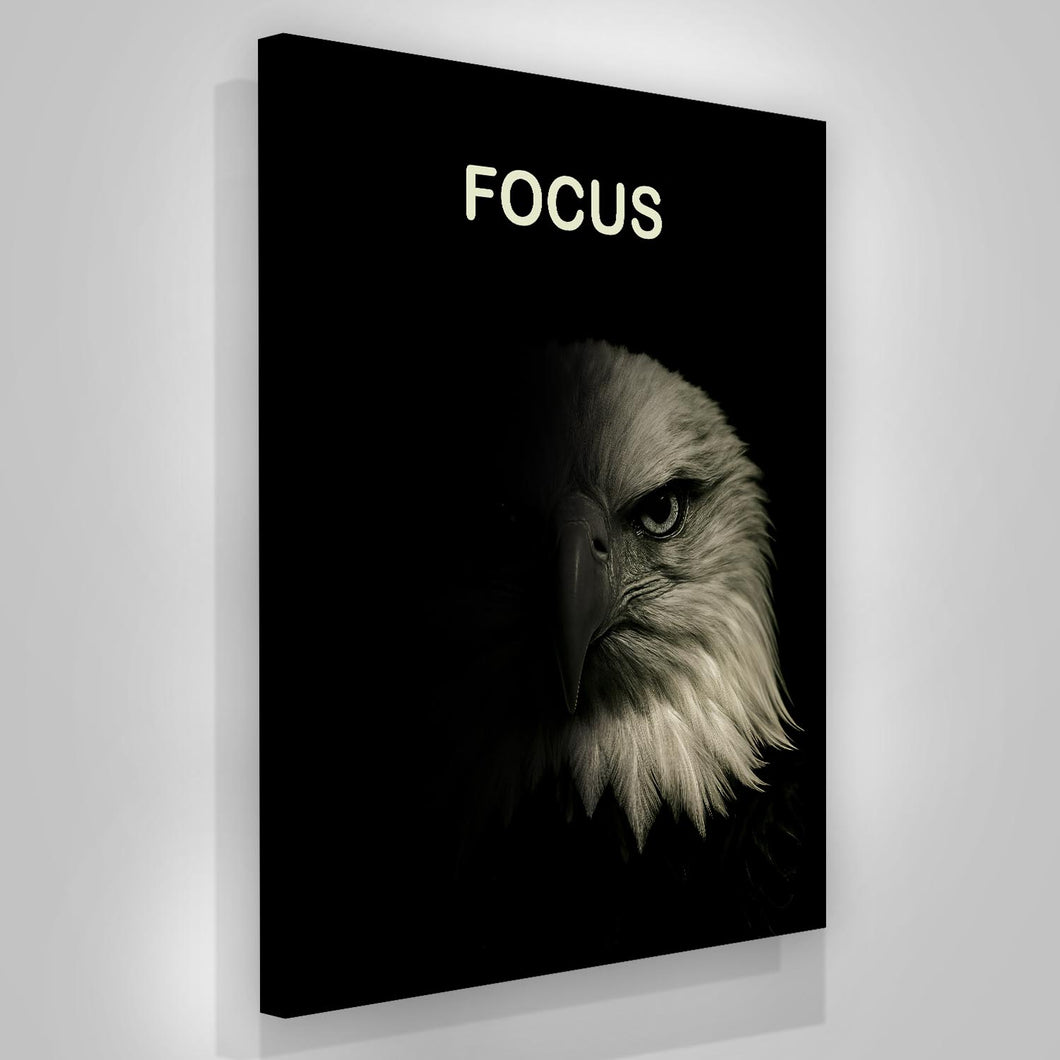 Focus