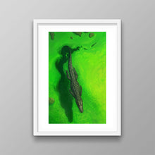 Load image into Gallery viewer, Swamps And Caimans
