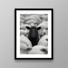 Load image into Gallery viewer, Black Sheep
