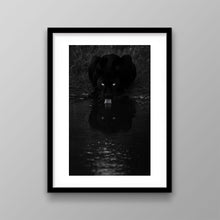 Load image into Gallery viewer, Eyes of Victory
