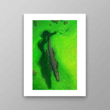 Load image into Gallery viewer, Swamps And Caimans

