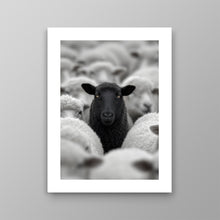 Load image into Gallery viewer, Black Sheep
