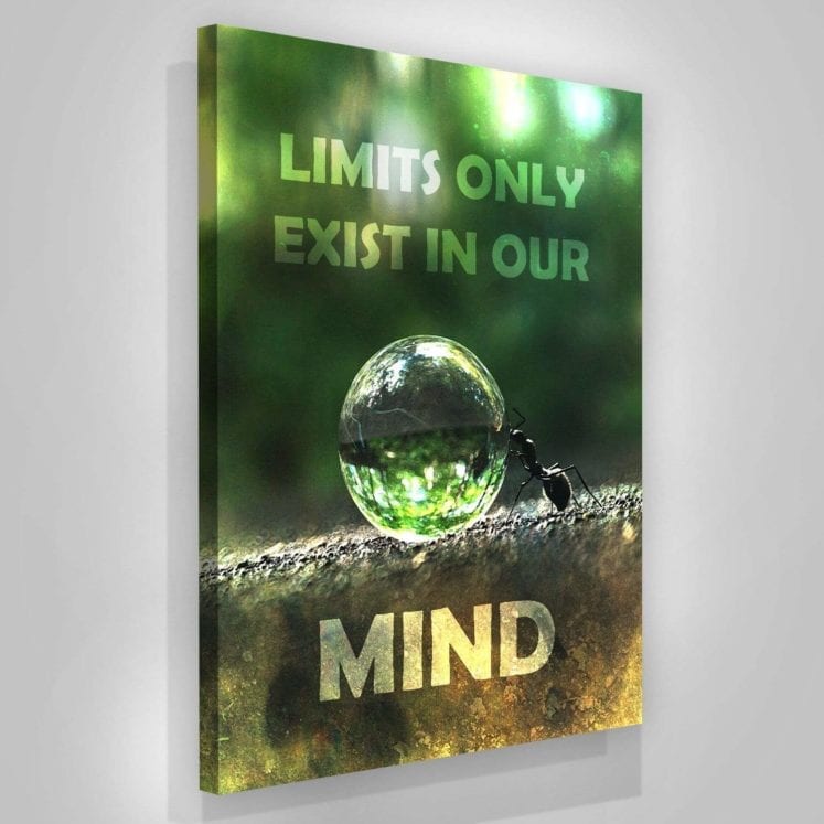 Limits Only Exist In Our Mind - Success Hunters Prints